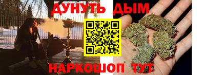 крисы Кулебаки