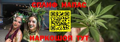 крисы Кулебаки