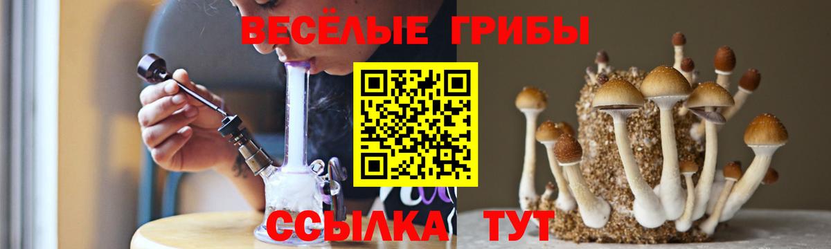 Галлюциногенные грибы Psilocybine cubensis  Галлюциногенные грибы ЛСД  Барабинск  Вход с VPN 